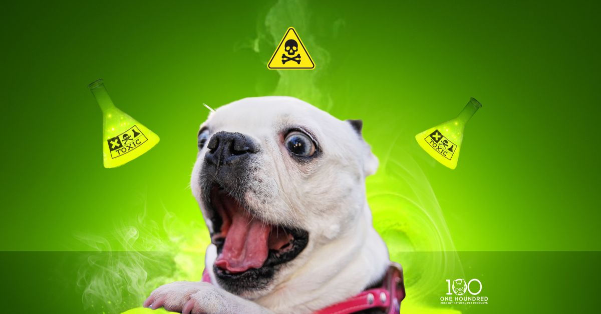 The Hidden Dangers of Chemical-Based Alternatives