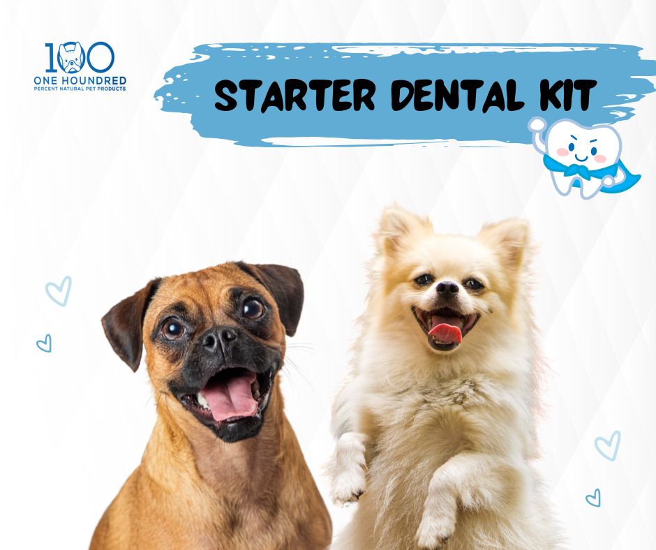 Starter Pet Dental Kit