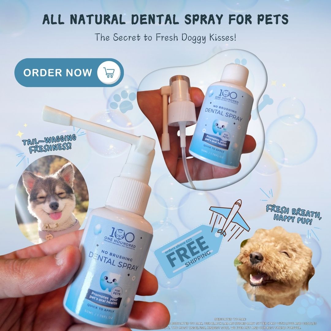 Dental Spray for Pets - Natural & Chemical Free Breath Freshener