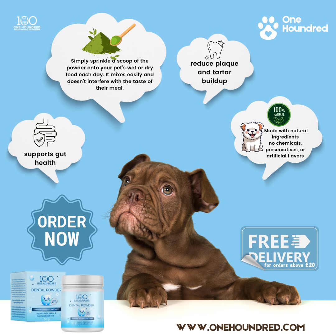 Dental Powder for Pets - All Natural, Chemical Free Oral Health Support