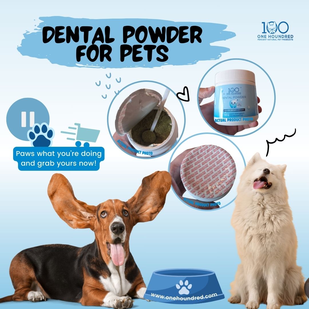 Dental Powder for Pets - All Natural, Chemical Free Oral Health Support