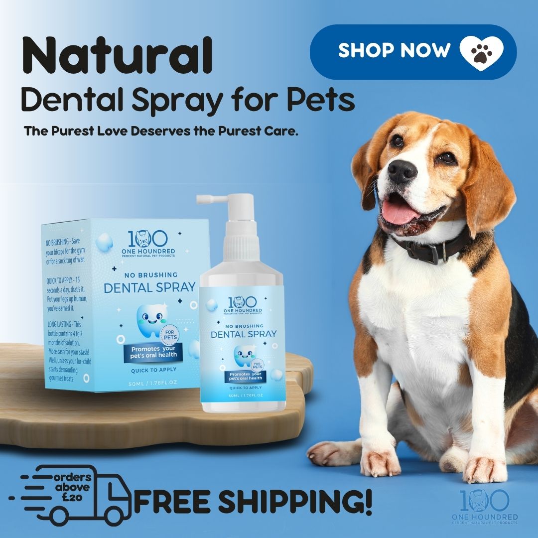 Dental Spray for Pets - Natural & Chemical Free Breath Freshener